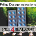 Priligy Dosage Instructions viagra4